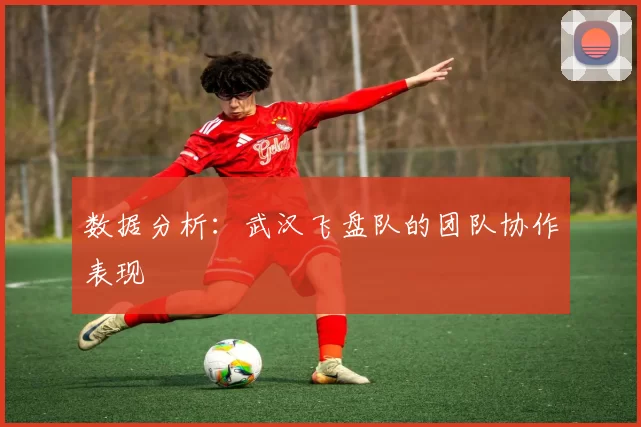 数据分析：武汉飞盘队的团队协作表现