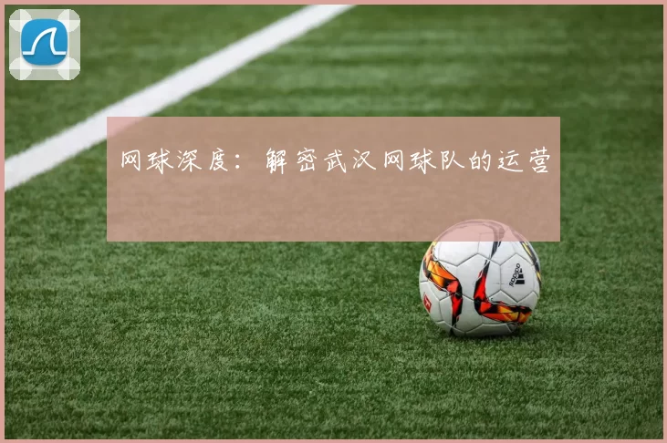 网球深度：解密武汉网球队的运营