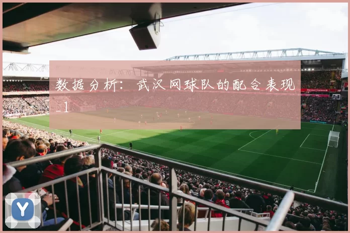 数据分析：武汉网球队的配合表现_1