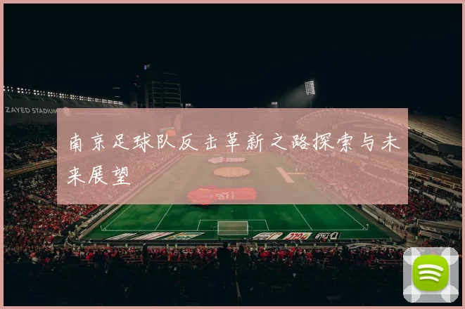 南京足球队反击革新之路探索与未来展望