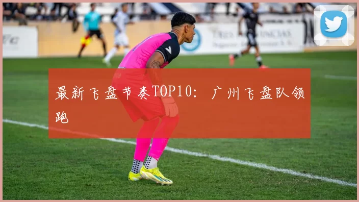 最新飞盘节奏TOP10：广州飞盘队领跑